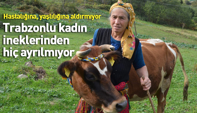 Trabzonlu kadın hayatını ineklerine adadı