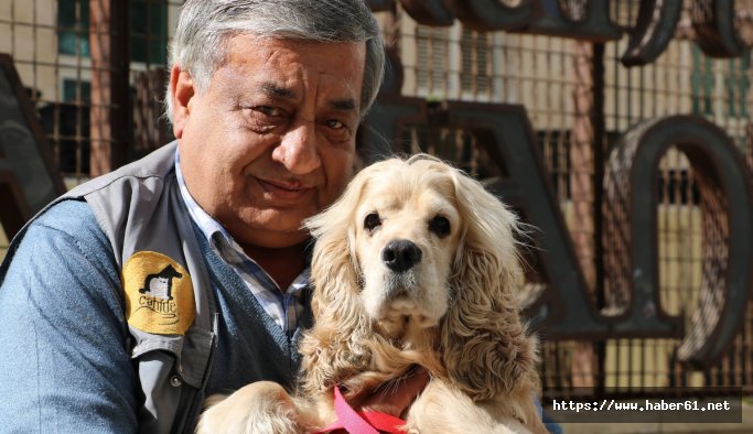 Kayıp köpekle sahibinin duygulandıran kavuşan anı