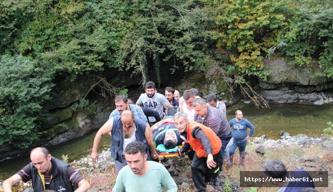 Kamyon dereye uçtu!