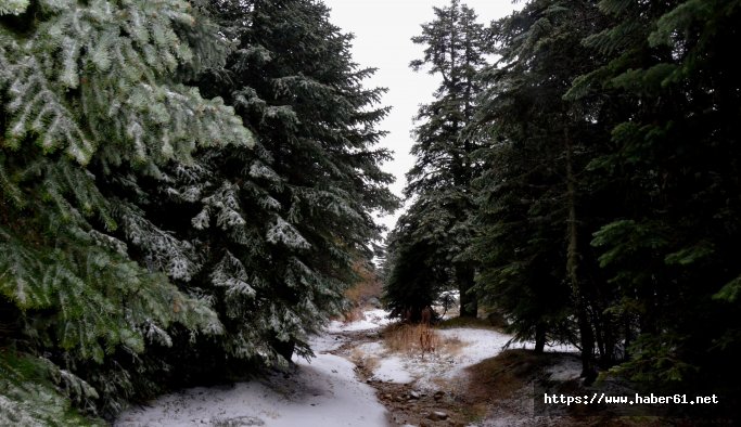 Uludağ'a kar erken geldi