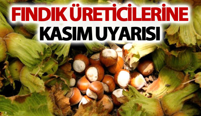 Fındık üreticisine Kasım uyarısı