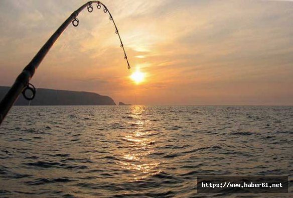 Ecel, balık tutarken yakaladı