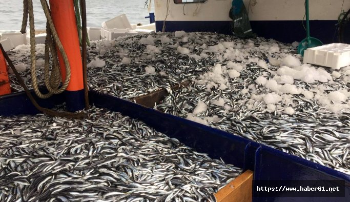 Karadeniz bereketlendi