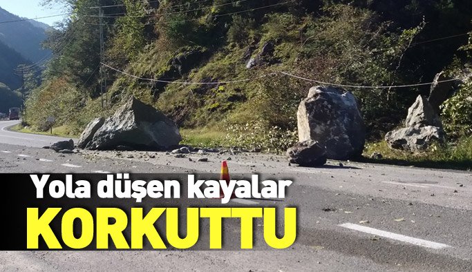 Trabzon'da yola düşen kayalar korkuttu