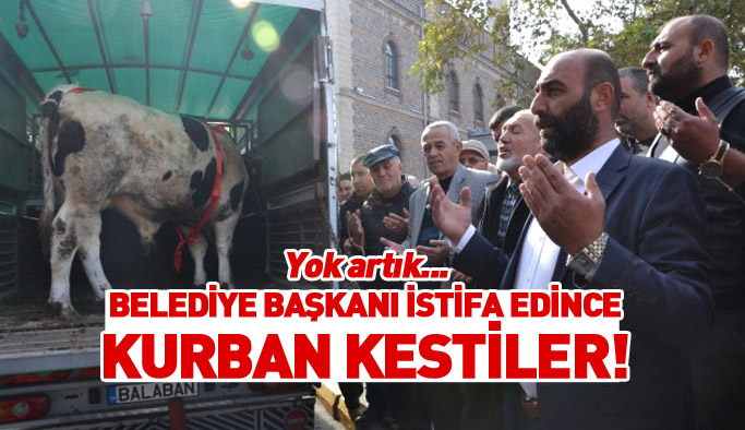 Belediye Başkanı istifa edince kurban kestiler!
