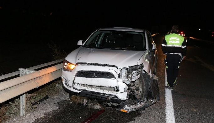 Otomobil domuz sürüsüne çarptı