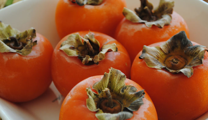 Eskişehir'de Trabzon hurması yetiştirdiler