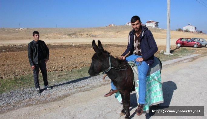 Akaryakıt zammına eşek Karlos'la tepki