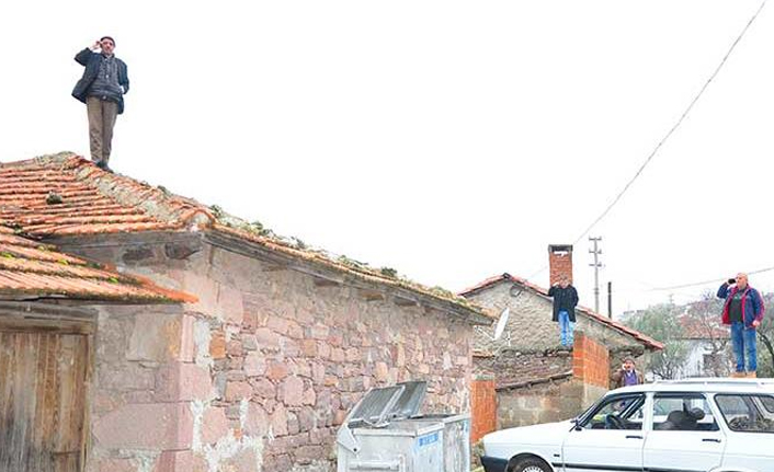 Tek amaçları telefonla görüşebilmek!