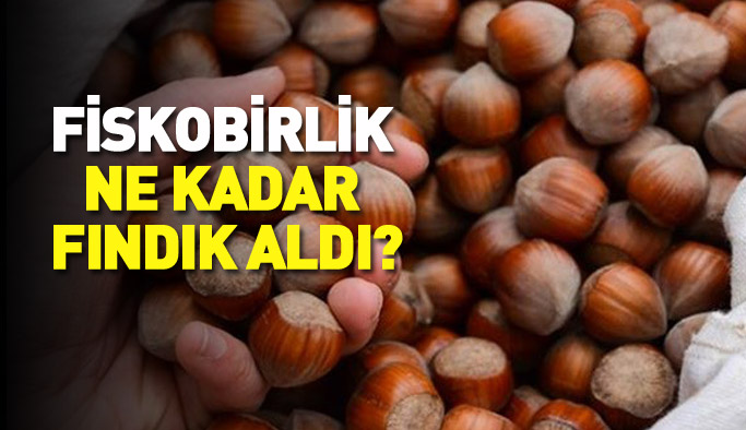 FİSKOBİRLİK, fındık alım rakamlarını açıkladı