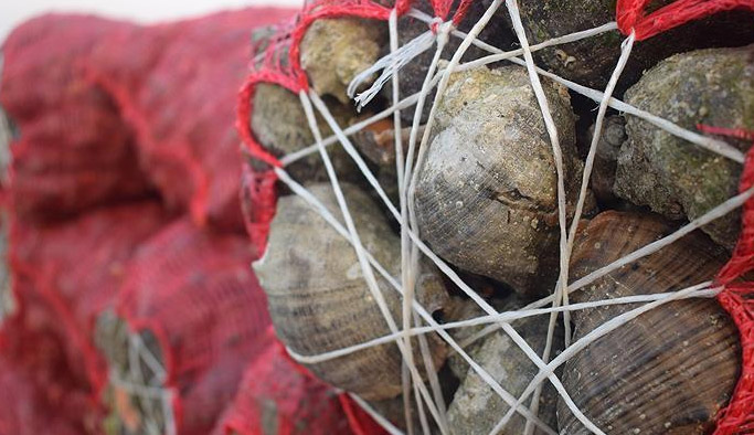 Trabzon'dan rekor ihracat!