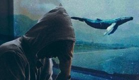 Ölümlere neden olan Mavi Balina oyununa kıskaç