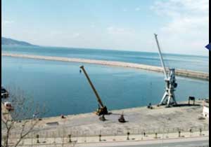 Limanda kuş uçmuyor