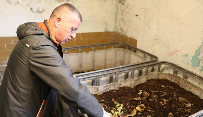 Solucan gübresi çay üretiminde büyük verim gösterdi