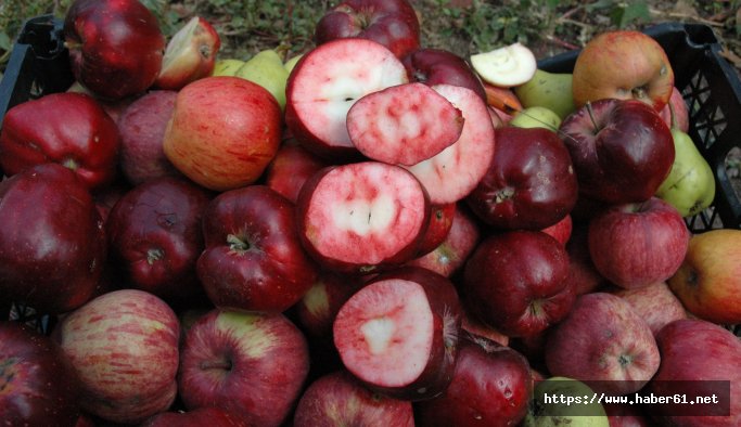 Bu elmanın hem içi hem dışı kırmızı