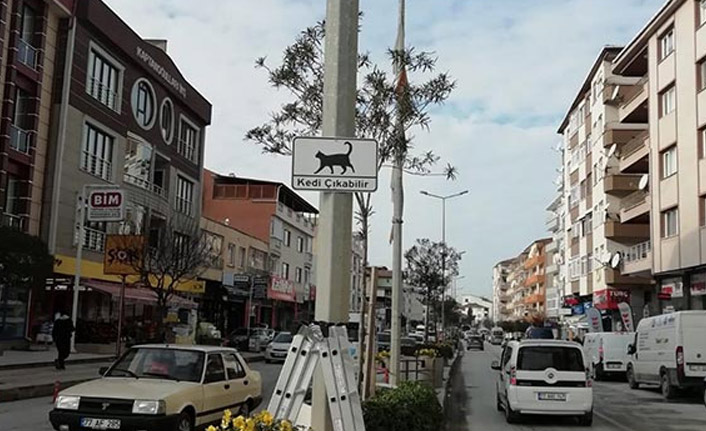 Sürücüler için 'kedi çıkabilir' tabelası