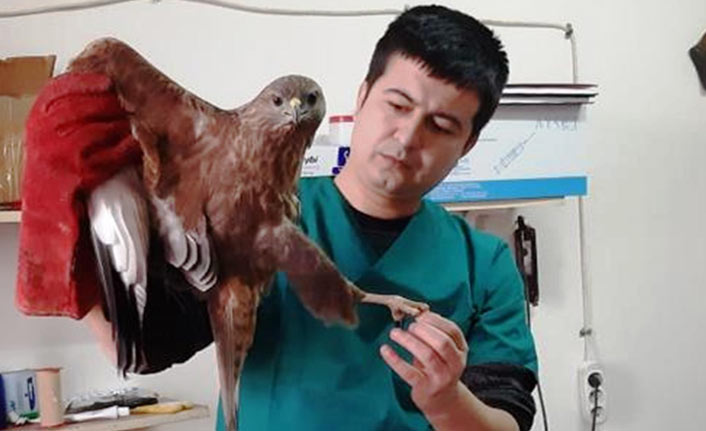 Vatandaşlar tarafından bulunmuştu! Tedavi edildi