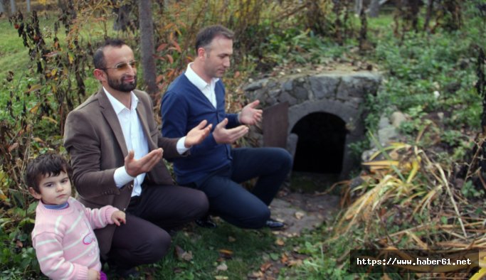 Giresun'da sırrı çözülemeyen balıklar