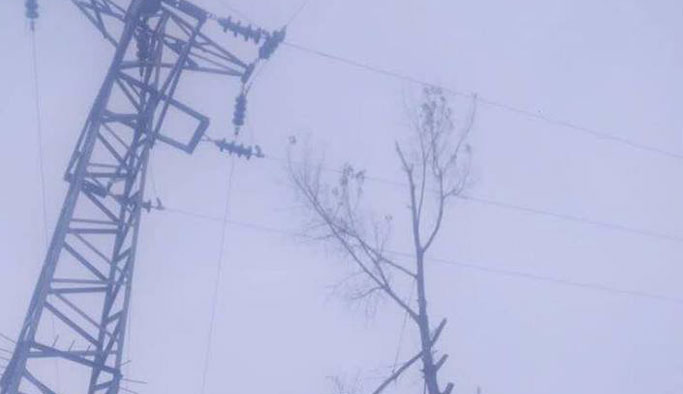 Giresun'da talihsiz olay: Hayatını kaybetti