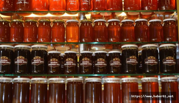 KTÜ'lü uzmandan bal hakkında önemli bilgiler