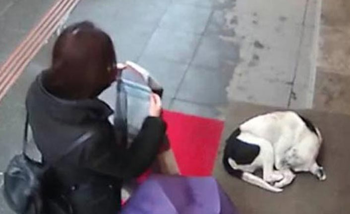 Vatandaştan örnek davranış! Üşüyen sokak köpeğinin...