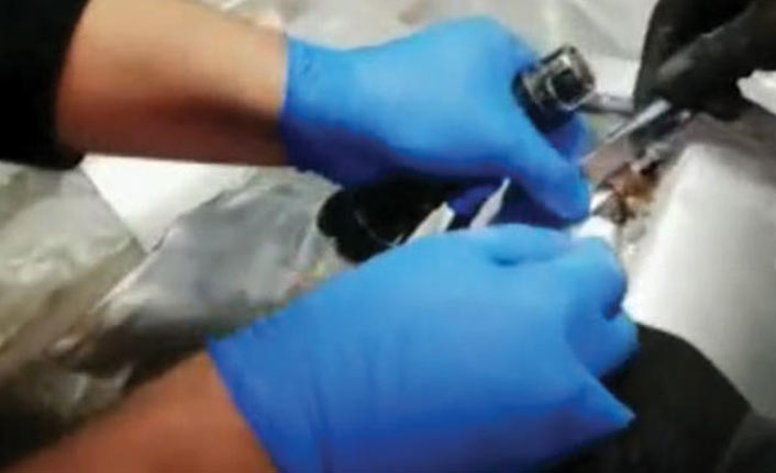 Kanada'ya gönderilecekken ele geçirildi!