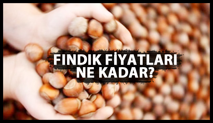 Fındık fiyatı ne kadar oldu? İşte fındık fiyatları