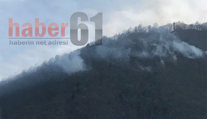 Trabzon'da bir yangın daha!