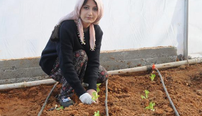 Giresun’da kadın çiftçiler iş başında