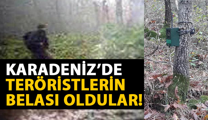 Doğu Karadeniz'de fotokapanlar teröristlerin belası oldu