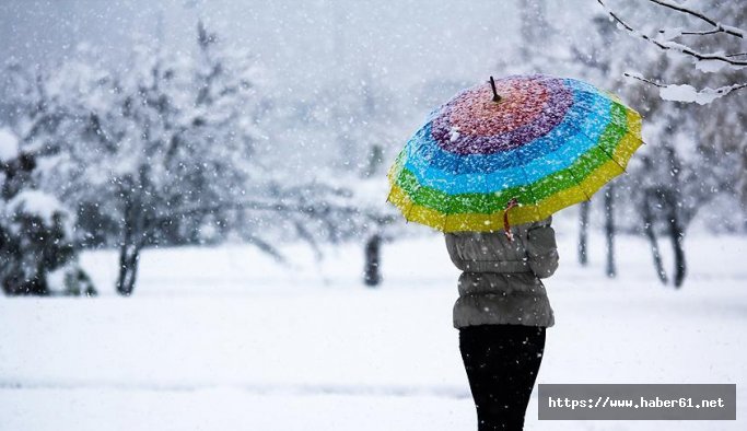 Artvin ve Rize'nin iç ve yüksek kesimlerinde yer yer yoğun kar yağışı  24.11.2017