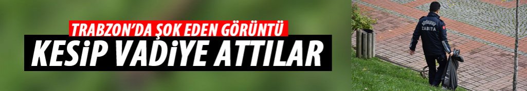 Trabzon'da şok eden görüntü