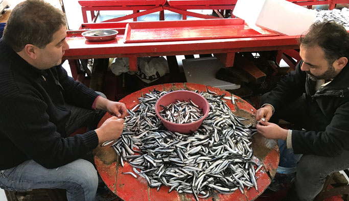 Fırtına sonrası tezgahlar şenlendi