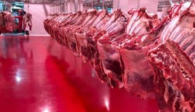 Bakan Fakıbaba: "3 sene sonra artık et ithal etmeyeceğiz"