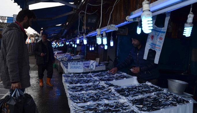 Avı gibi ihracatı da azaldı