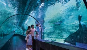 Tünel akvaryum için ihale açılıyor