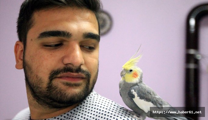 Sultan papağanı Ölürüm Türkiyem şarkısını söylüyor