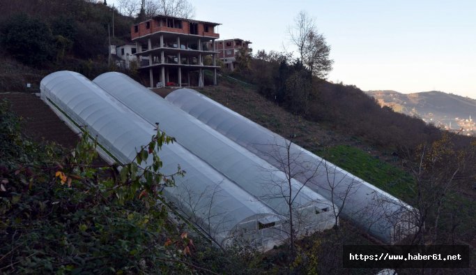 Düz arazi olmayınca dik araziye yaptılar