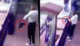 Kediye işkence eden asker kendini savundu!