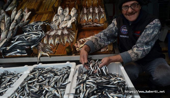 Hamsinin fiyatı 4 günde 3 kat arttı