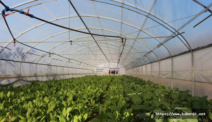 Trabzon'da tarım alanları betonlaşmaya yenildi