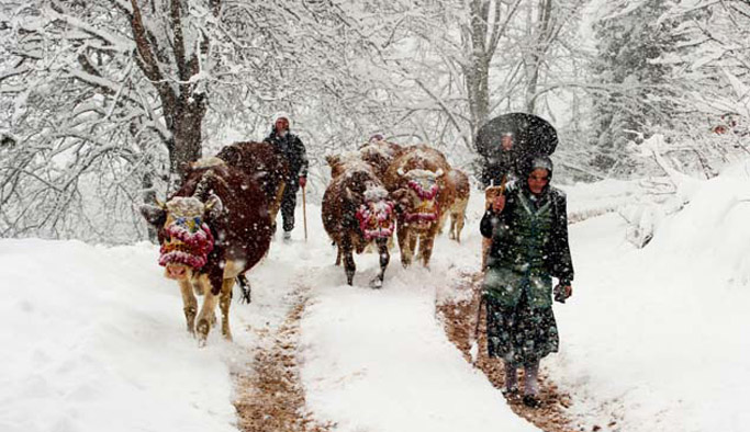 Doğu Karadeniz'de kar etkisini gösterdi