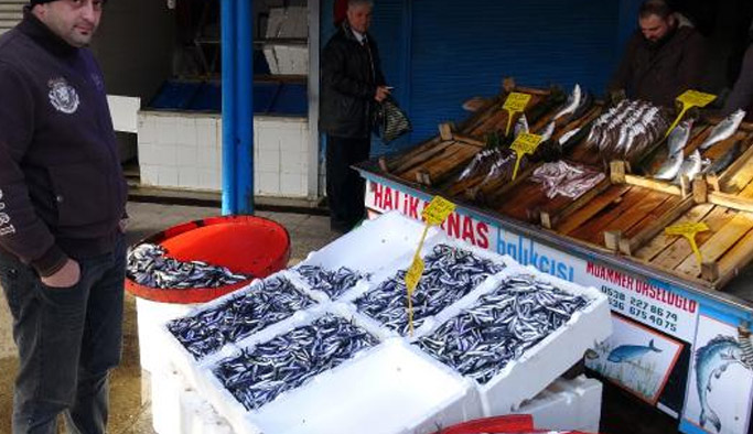 Trabzon'da hamsi fiyatları neden katlandı?