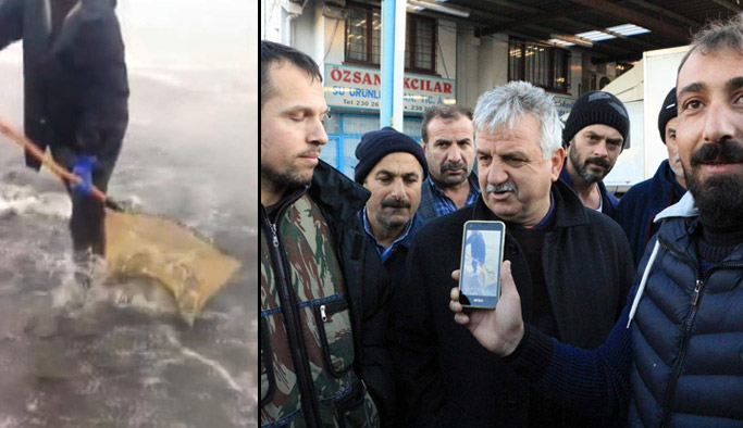 Hamsi Rusya'da kıyıya vurdu Trabzonlu balıkçılar şaşırdı