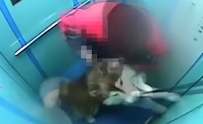 Köpeğin tasması asansör kapısına sıkışınca...