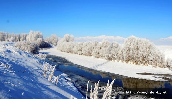 Doğu Anadolu'da Sibirya soğukları 