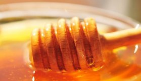 Doğu Karadeniz'den 4 ülkeye bal