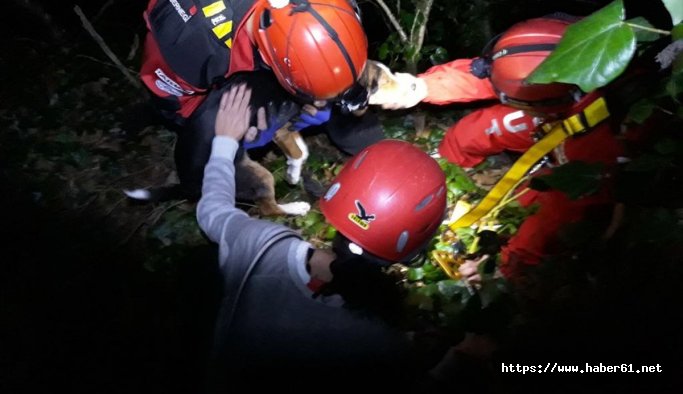 Çukura düşen köpek kurtarıldı