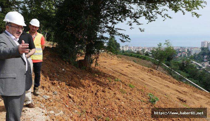 Trabzon Botanik, Trabzon'a can katacak