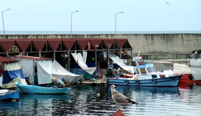 Trabzon'daki balıkçı barınakları için kampanya başlattılar!